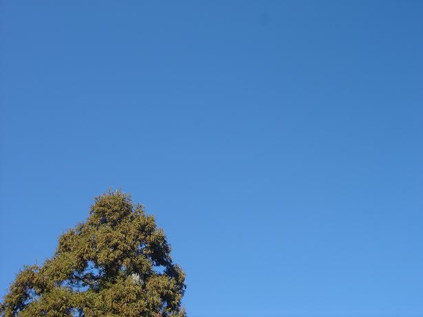 e0206827_21572239.jpg