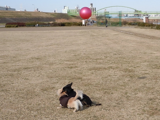 c0117831_15111230.jpg
