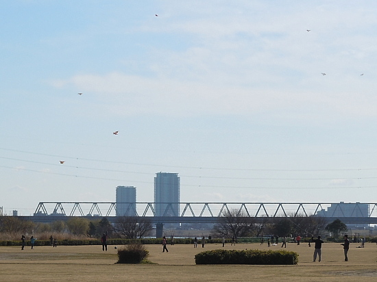 c0117831_1584479.jpg