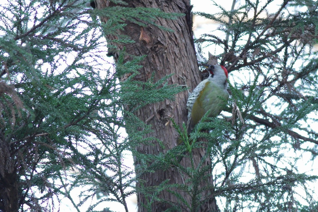 e0154134_1223281.jpg