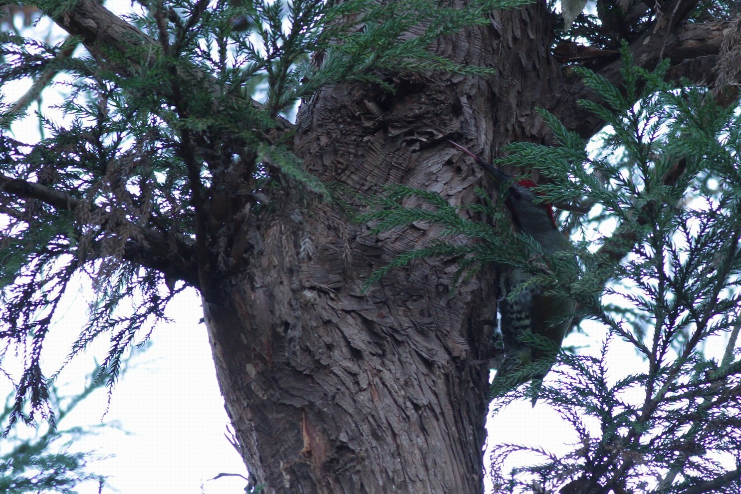 e0154134_1224927.jpg