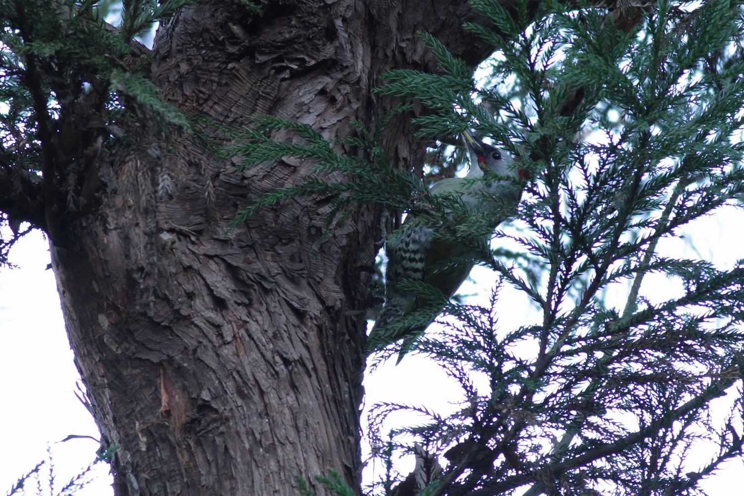 e0154134_1231175.jpg