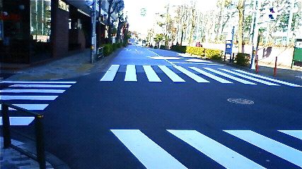 a0068339_17374941.jpg