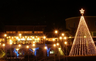 b0082242_20542697.jpg
