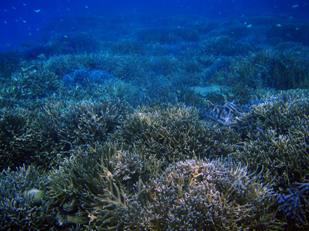 f0014842_17145775.jpg