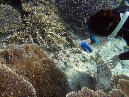 f0014842_1716018.jpg
