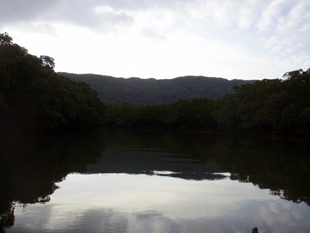 f0014842_1754279.jpg