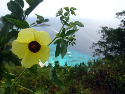 e0027447_2359231.jpg