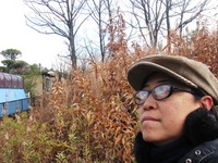 アルゼンチン色