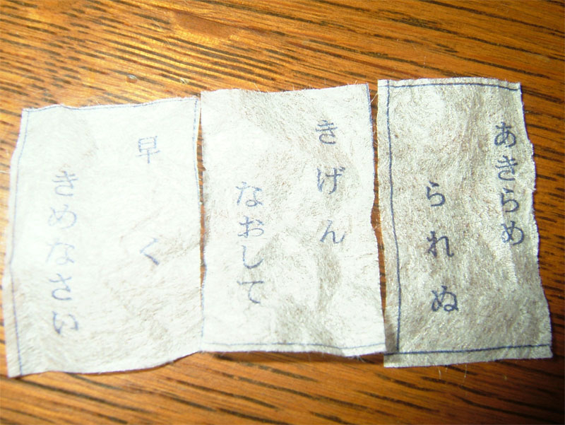 c0110051_749712.jpg