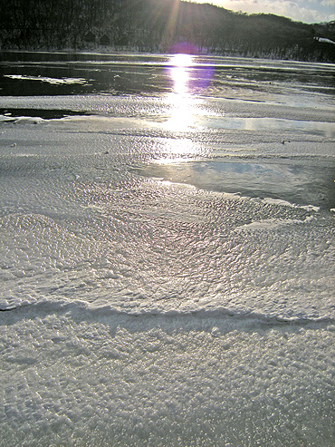 a0001354_21421976.jpg