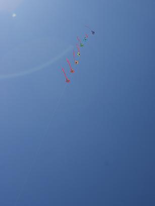 f0046262_16165030.jpg