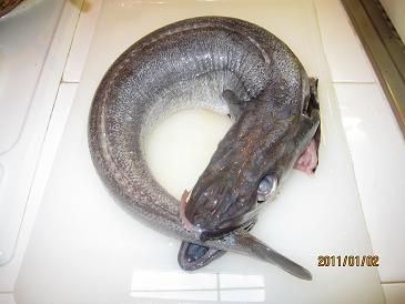 f0224163_602648.jpg