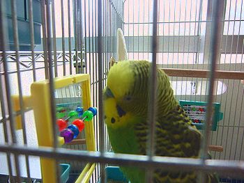f0196665_051789.jpg