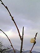 d0085267_2241595.jpg