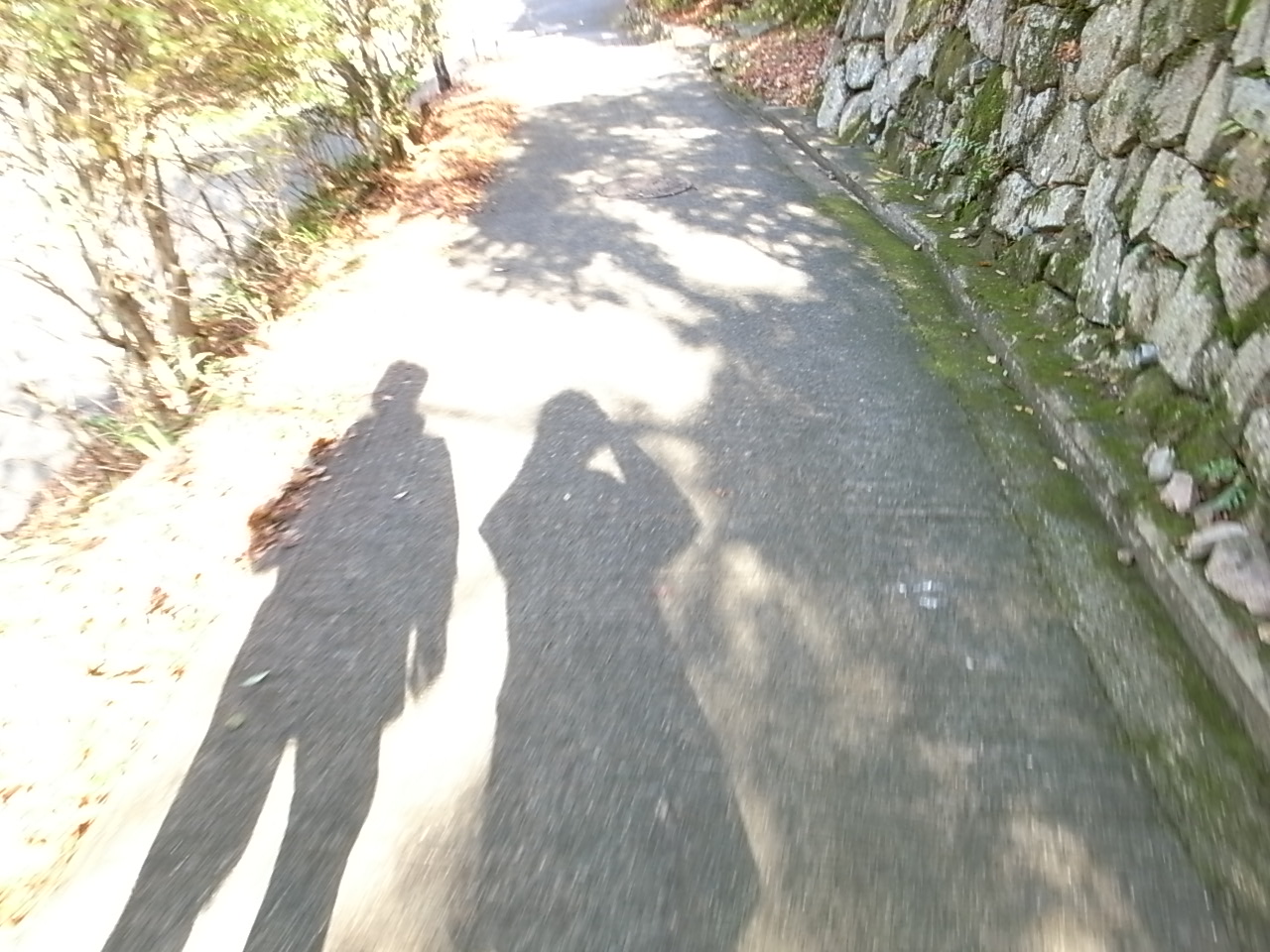 b0170369_2030917.jpg