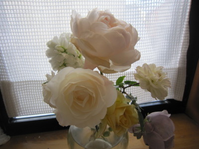 c0202870_1648482.jpg