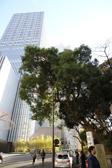 e0062371_2005756.jpg