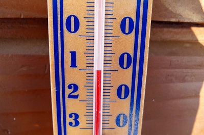 f0182173_1373118.jpg