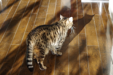 f0054677_762575.jpg