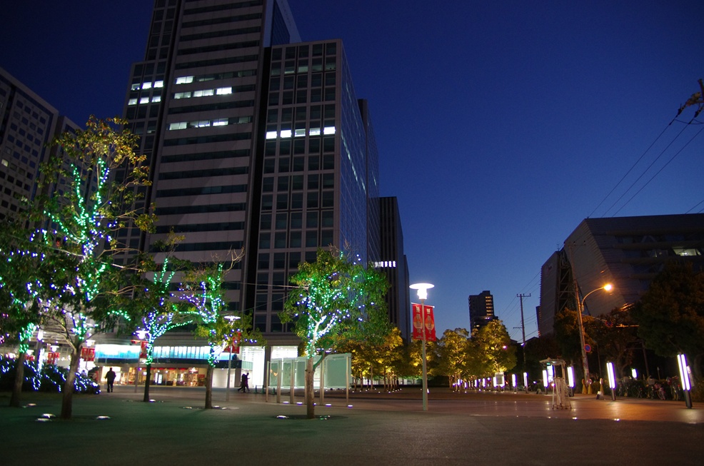 b0165778_23274.jpg