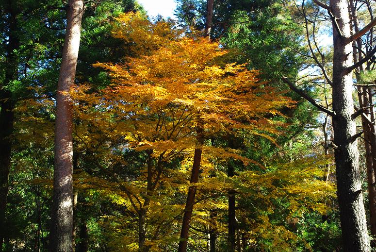 c0162984_017041.jpg