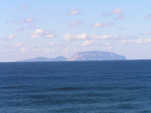 c0204385_2019329.jpg