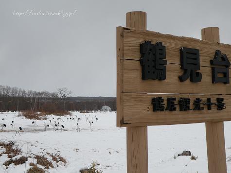 http://pds.exblog.jp/pds/1/201101/03/89/a0124689_12475355.jpg