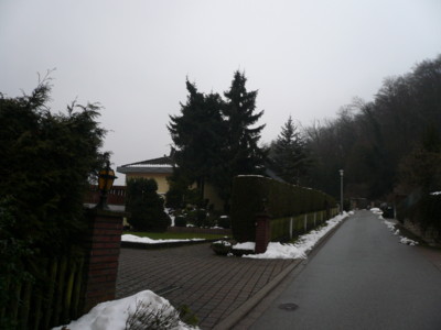 a0147890_1384287.jpg