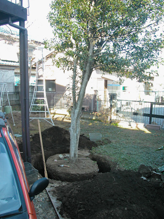 f0239100_15215025.jpg