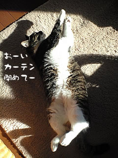 c0035001_1573410.jpg