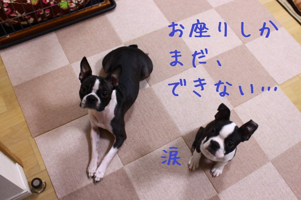 a0147507_22413118.jpg