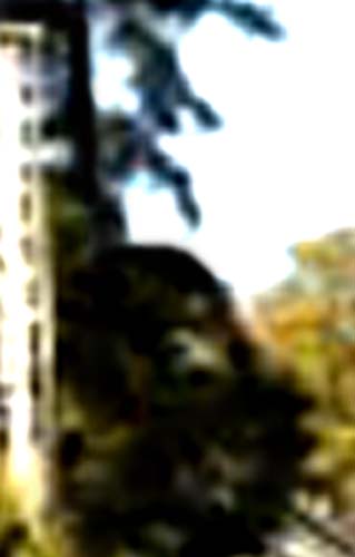 e0103408_18543529.jpg