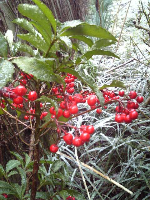f0231709_1324504.jpg