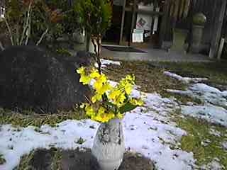 b0125311_19412456.jpg