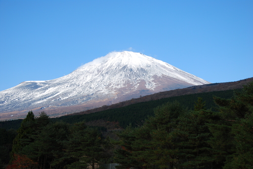 e0075412_20227.jpg