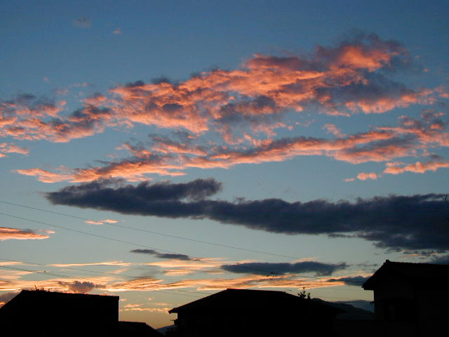 a0190225_1417202.jpg