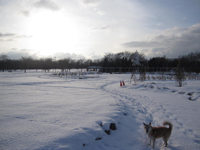 e0191826_2342967.jpg