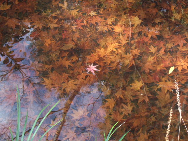 e0064133_015132.jpg
