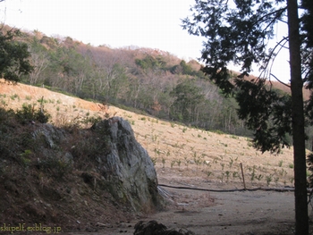 c0134734_21463486.jpg