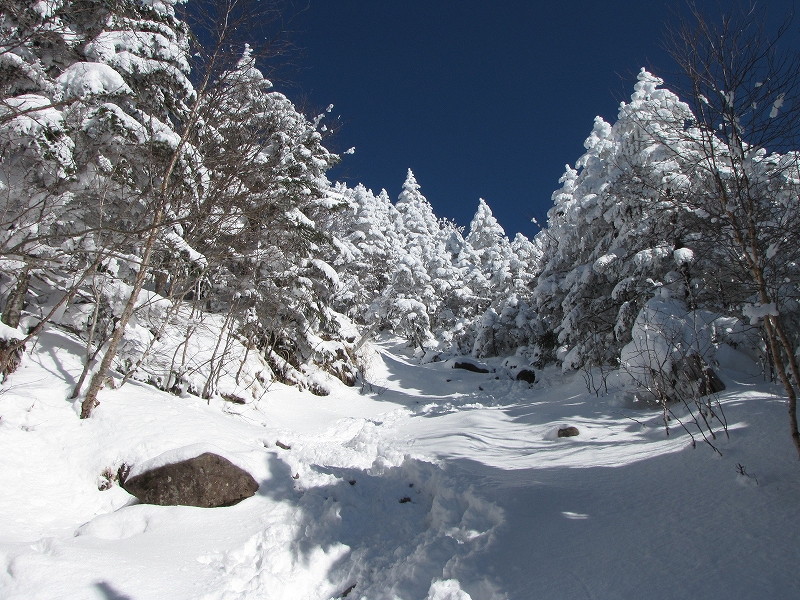 b0097836_14102950.jpg