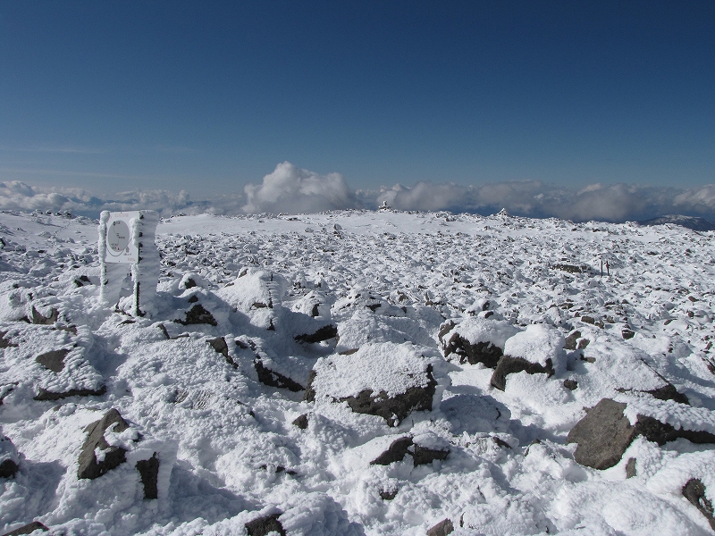 b0097836_14164751.jpg