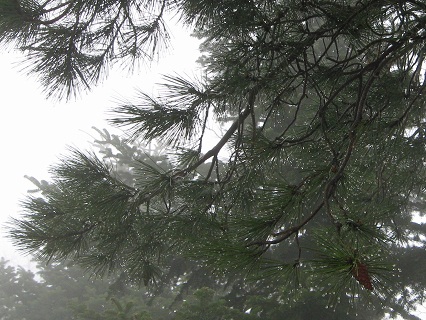 f0234936_0242676.jpg