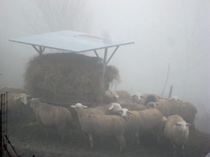 f0234936_0254235.jpg