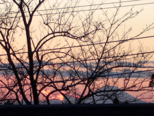 a0163738_17255868.jpg