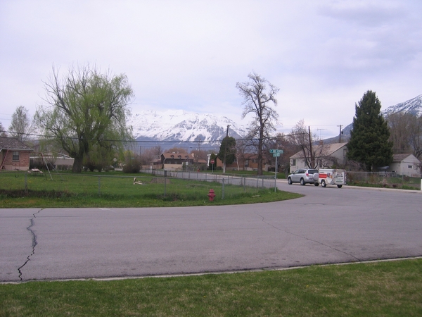 b0071539_436594.jpg
