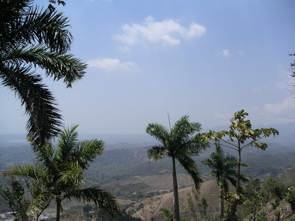 a0103940_2193698.jpg