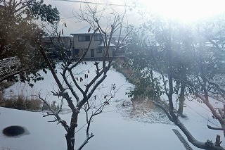 a0135840_1025297.jpg