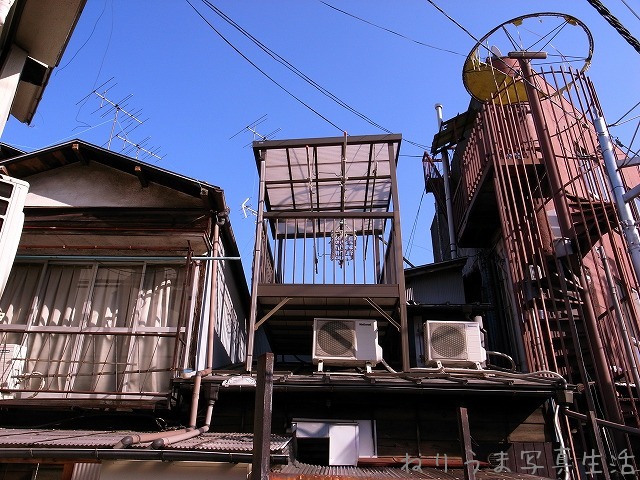 a0009142_12183928.jpg
