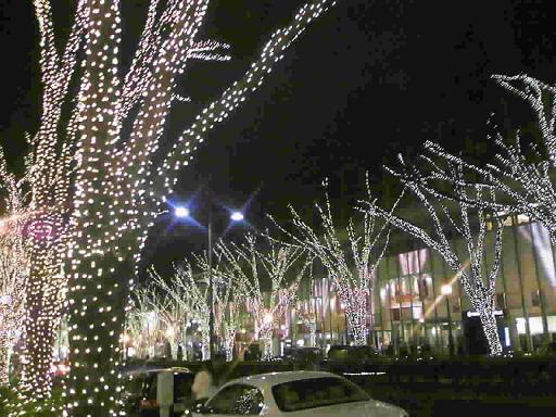 c0011342_2137112.jpg